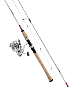 Daiwa CROSSFIRE LT COMBO